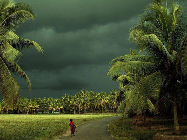 Oceana Hills Residency Hotel Alappuzha Kültér fotó