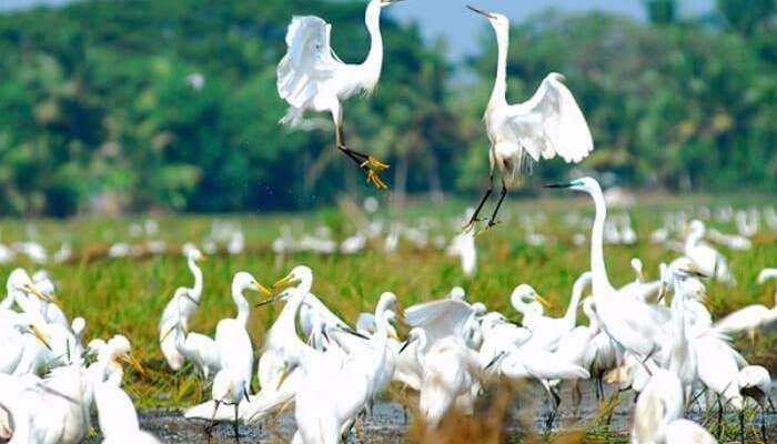 Oceana Hills Residency Hotel Alappuzha Kültér fotó